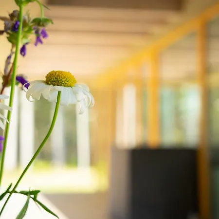 Hausma Villa HIIUMAA