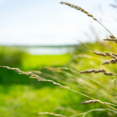 Hausma Villa HIIUMAA