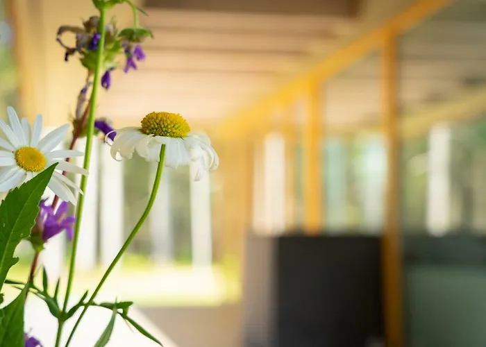 Hausma Villa HIIUMAA