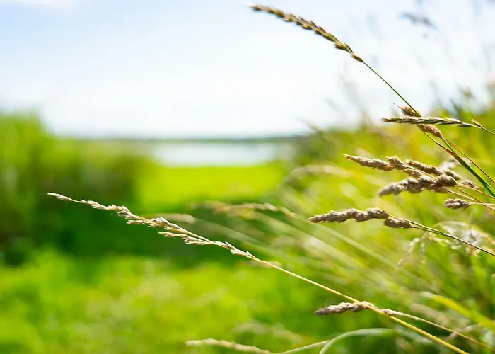 Hausma Villa HIIUMAA